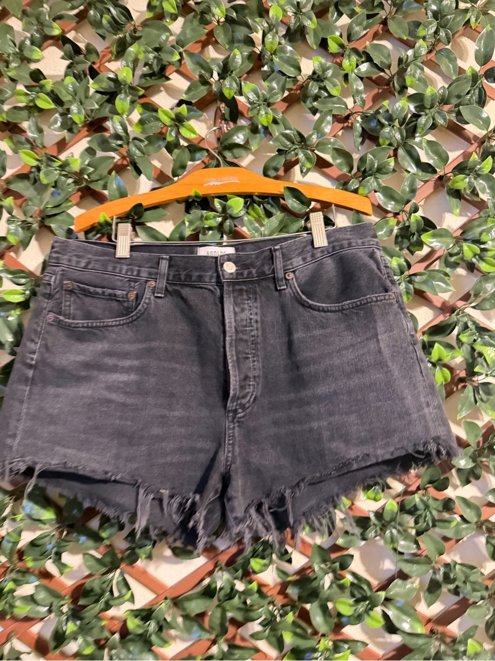 AGOLDE Parker Distressed Black Denim Shorts | Size 30 | 100% Cotton | Raw Hem